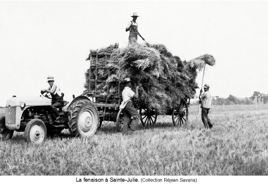 La_fenaison_a_Sainte-Julie.jpg (173 KB)