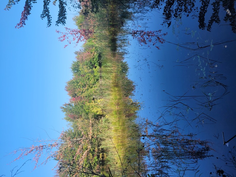 La Ville de Sainte-Julie annonce les projets environnementaux financés par son tout nouveau Fonds vert 