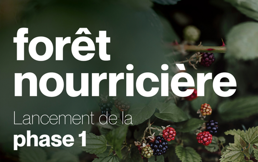 La Ville de Sainte-Julie lance la première phase du développement de sa forêt nourricière 